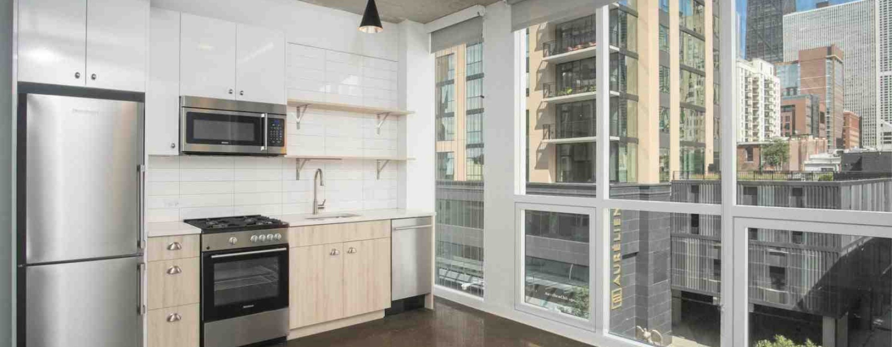 West Loop Chicago apartment skyline views - west loop two bedroom apartments