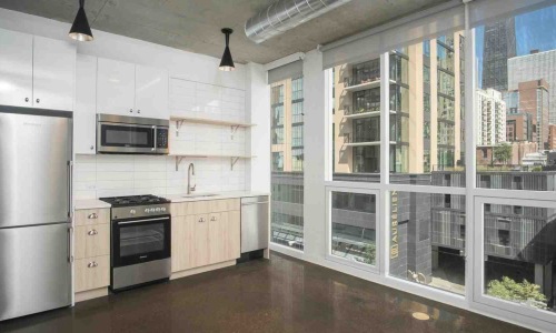 West Loop Chicago apartment skyline views - west loop two bedroom apartments