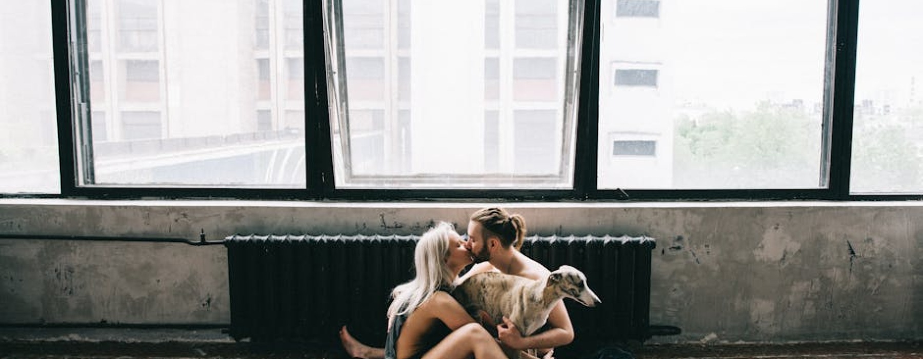pet-friendly loft apartment - Pet-friendly loft apartments