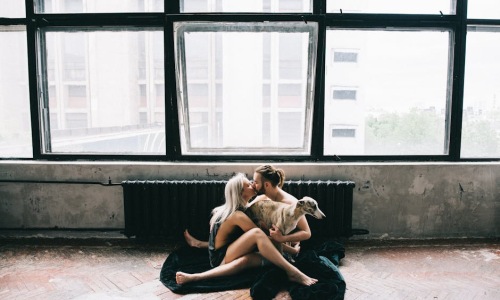 pet-friendly loft apartment - Pet-friendly loft apartments