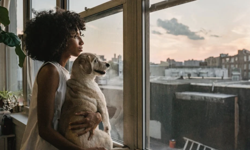 pet friendly apartments for rent in near chicago - pet friendly apartments for rent in near chicago