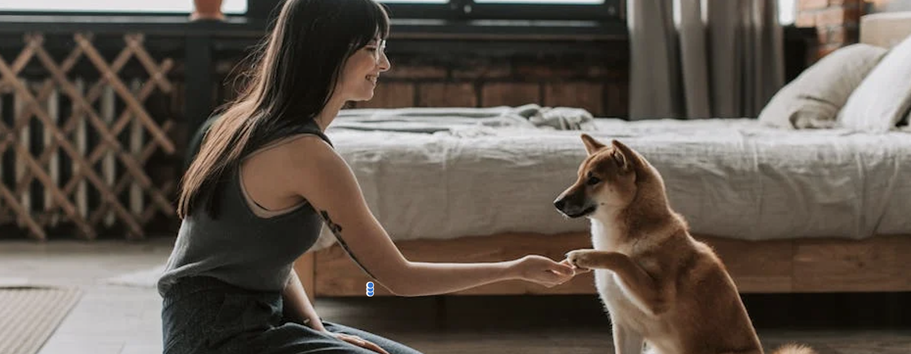 apartments for dog owners - apartments for dog owners