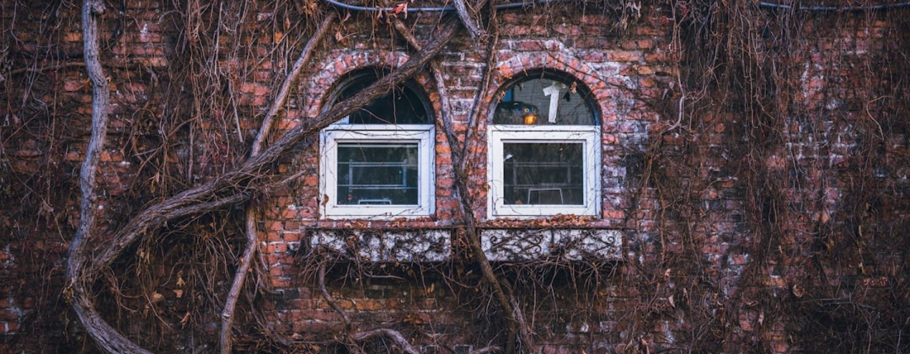 apartment with floor to ceiling windows - apartments with floor to ceiling windows near me