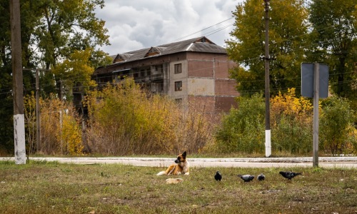 apartments near dog parks - apartments near dog parks apartments near dog parks - apartments near dog parks