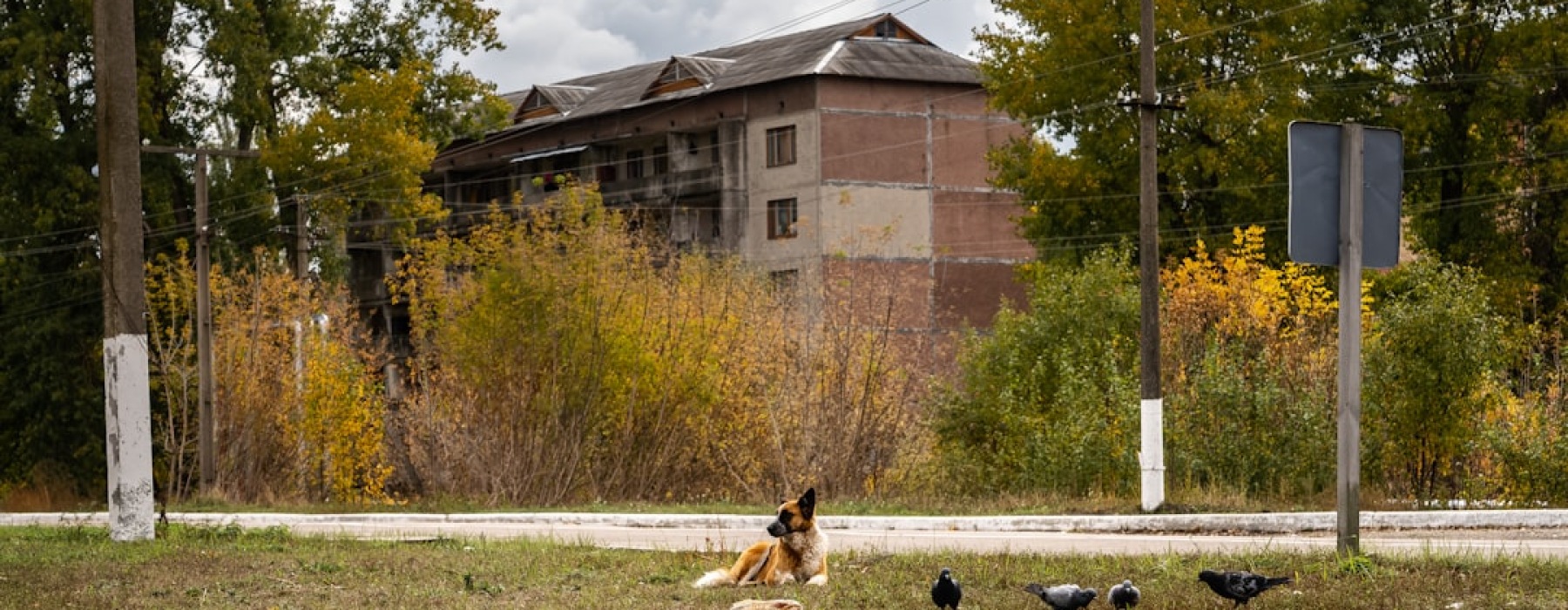 apartments near dog parks - apartments near dog parks
